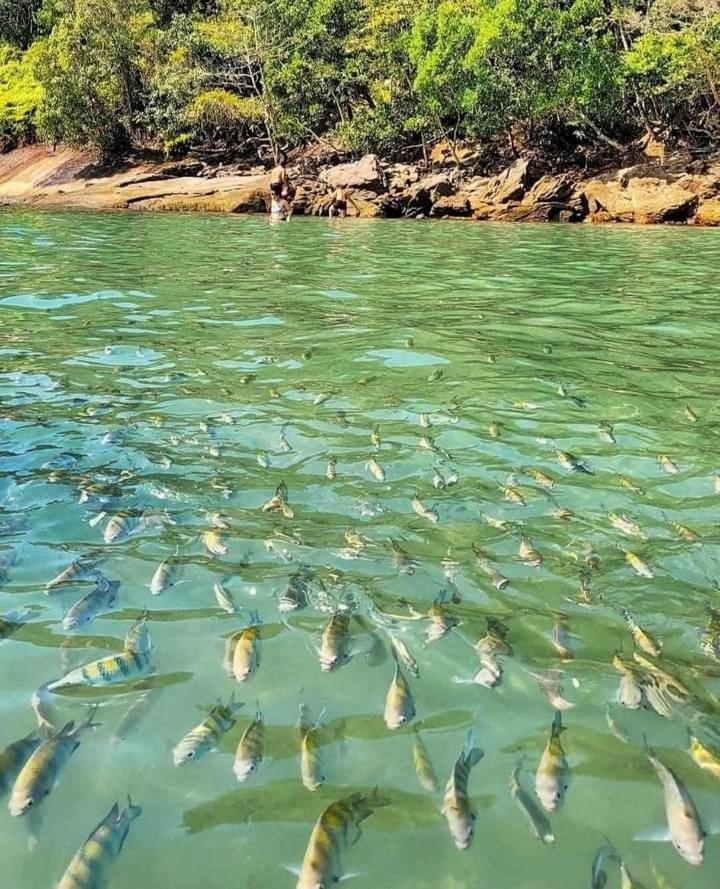 Praia Grande Ubatuba Casa Nova 5D المظهر الخارجي الصورة